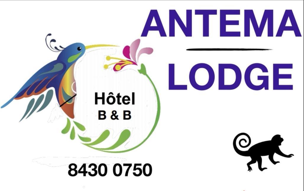 Antema Lodge Secteur Tamarindo, Piscine, Yoga, Gym, Jungle Et Paix Екстериор снимка