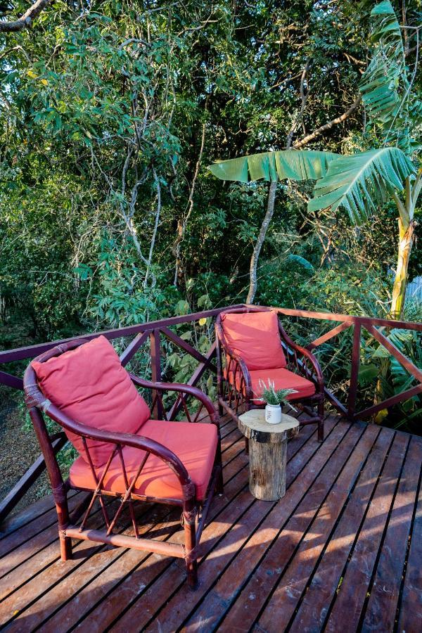 Antema Lodge Secteur Tamarindo, Piscine, Yoga, Gym, Jungle Et Paix Екстериор снимка